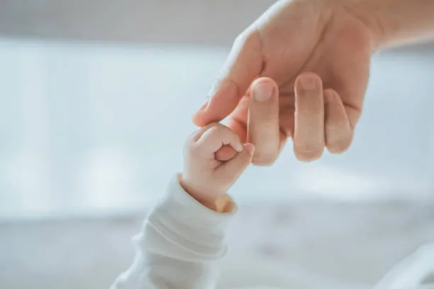 istockphoto-2158835167-612x612 istockphoto-2158835167-612x612